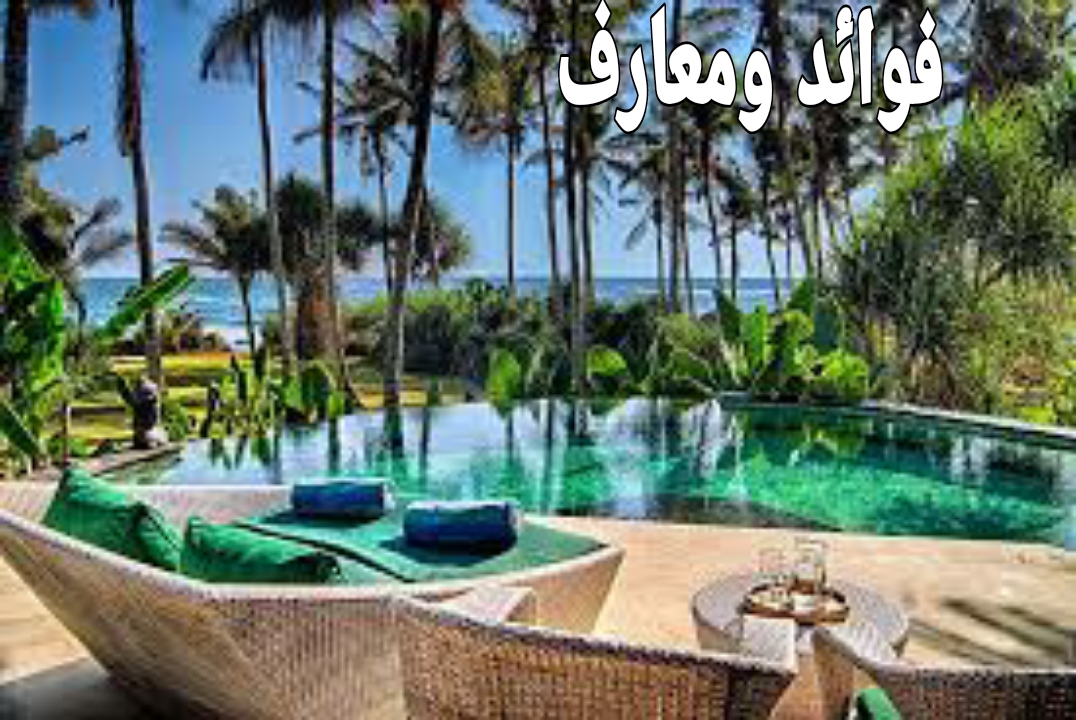 أفضل 4 منتجعات شاطئية في جورجيا